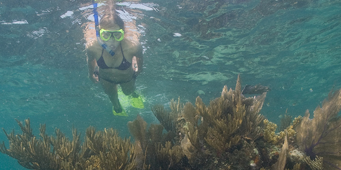 Things To Do - Dry Tortugas National Park U.S. National 