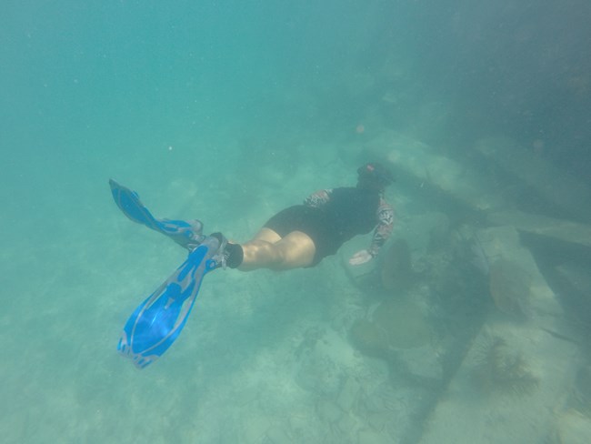 A woman snorkeling around bricks, corals, fish, and sand