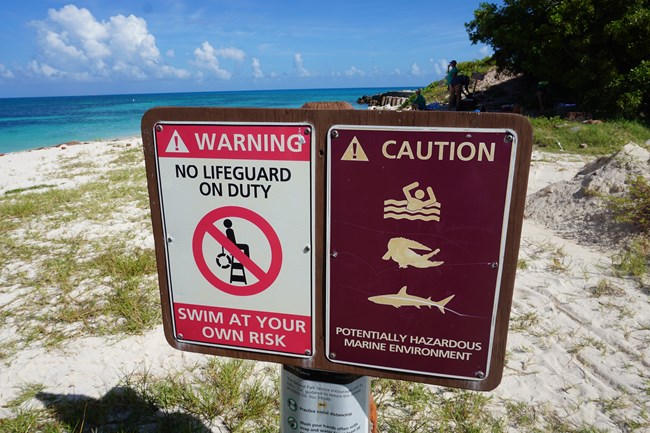 Signs on a beach warning of no life guard on duty and potentially hazardous marine wildlife