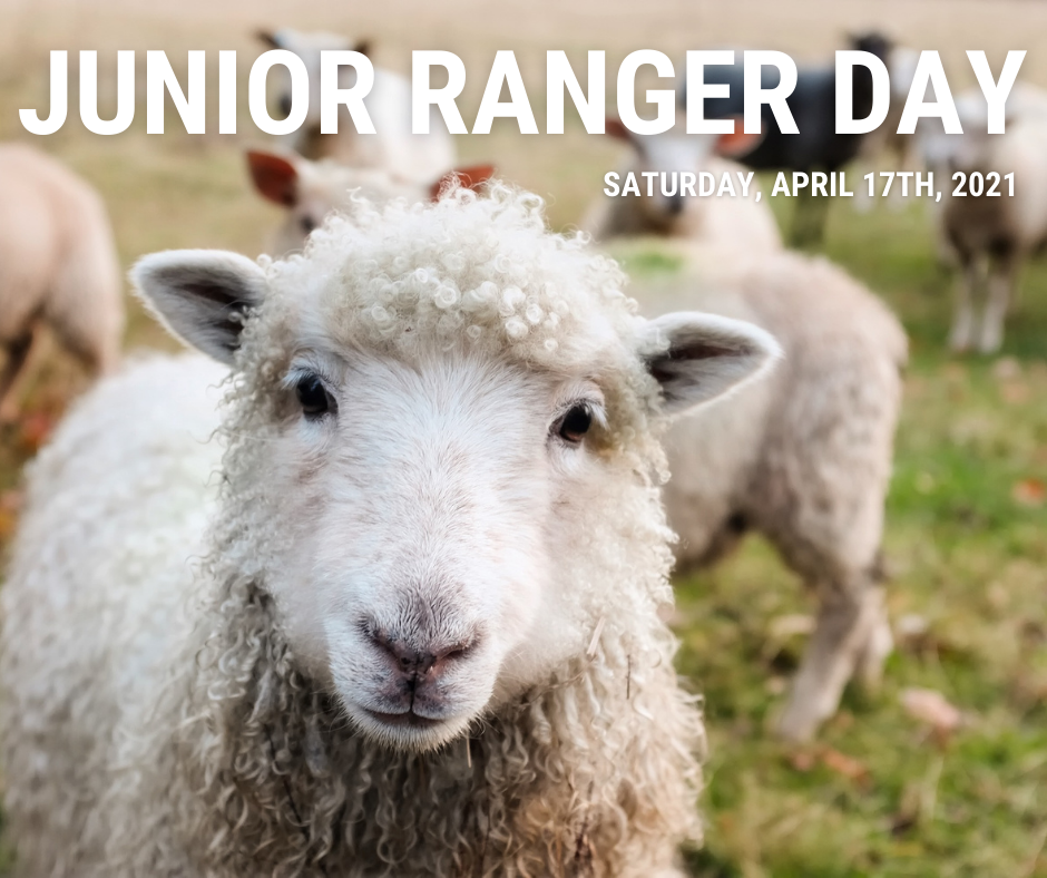 Junior Ranger Day Ebey's Landing National Historical Reserve (U.S