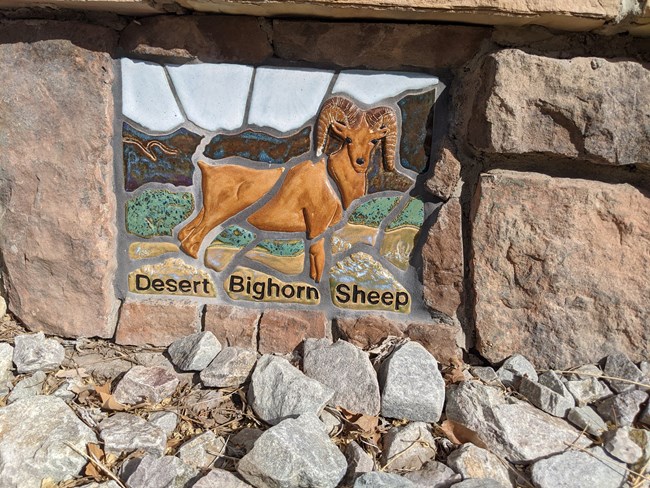 Mosaic Desert Bighorn Sheep