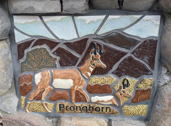 Mosaic Pronghorn