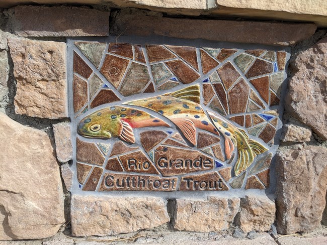 Mosaic of Trout