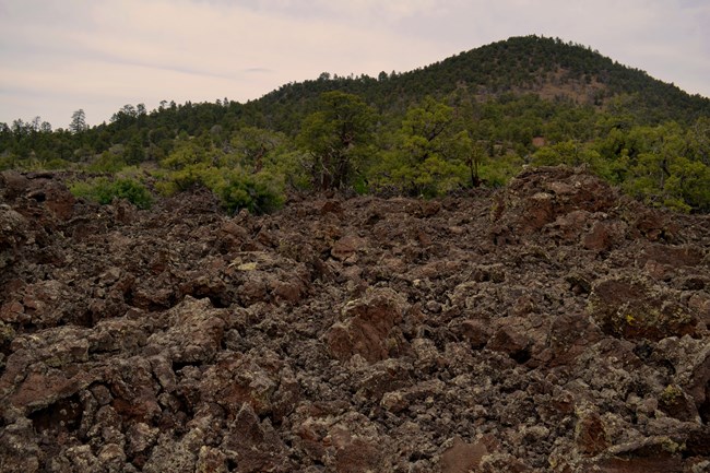 A distant cinder cone looms over a field of lava rubble.