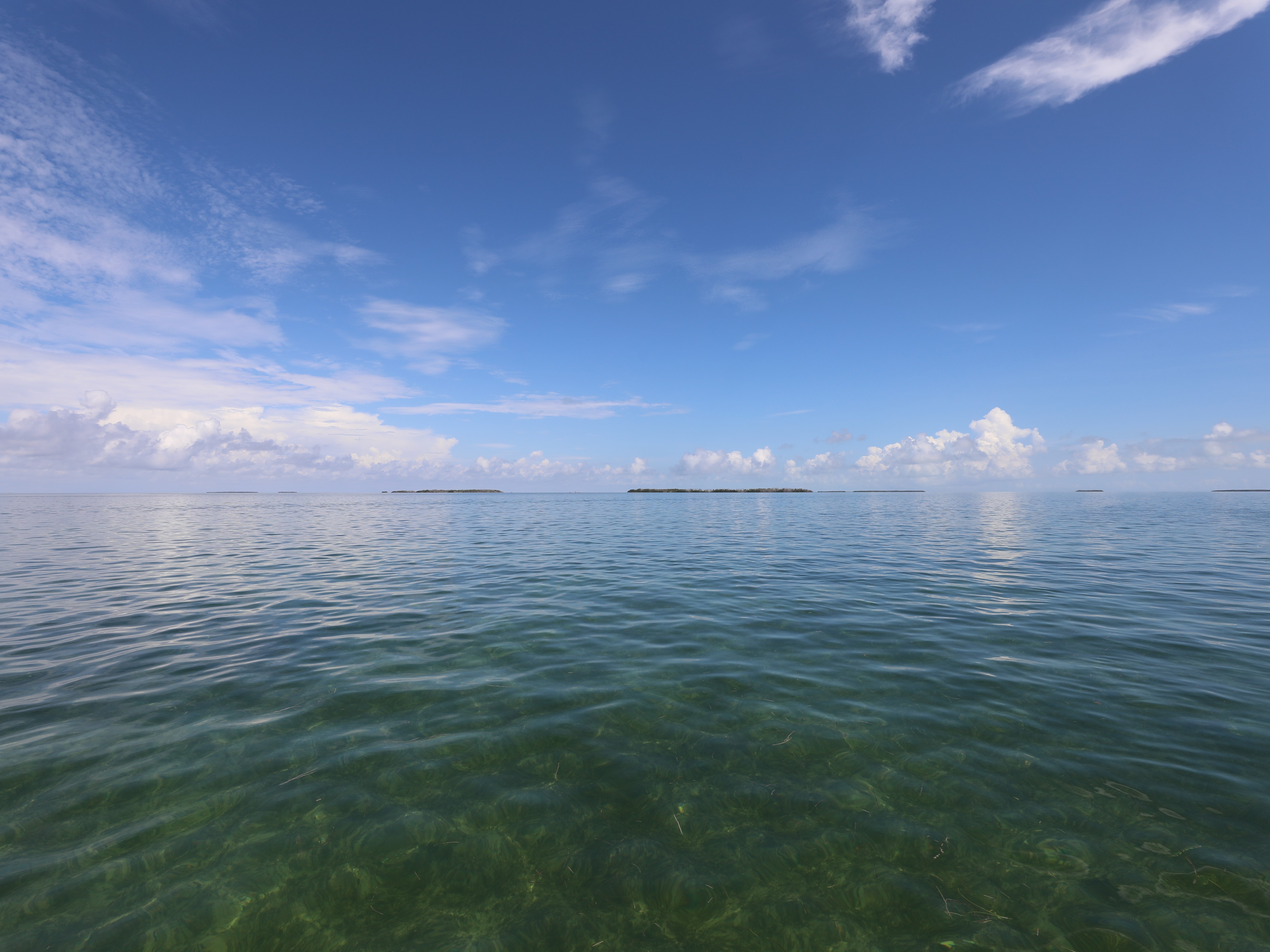 Florida Bay – South Florida Aquatic Environments