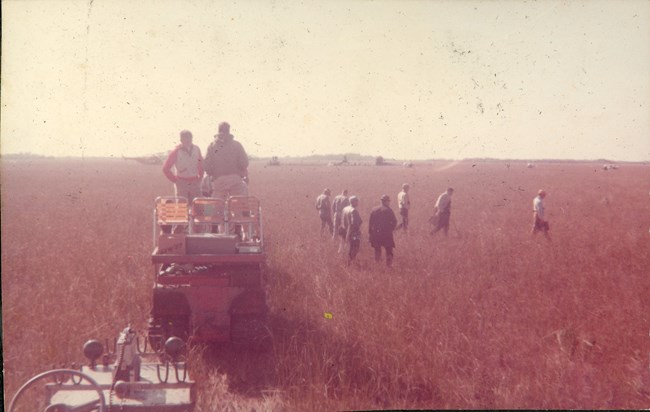People, some with coats and briefcases, walk through the sawgrass. Two men stand atop an all-terrain vehicle. Vehicles and other objects can be seen in the distance