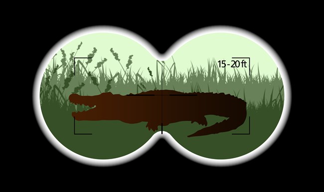 EVER_BINOCULARS