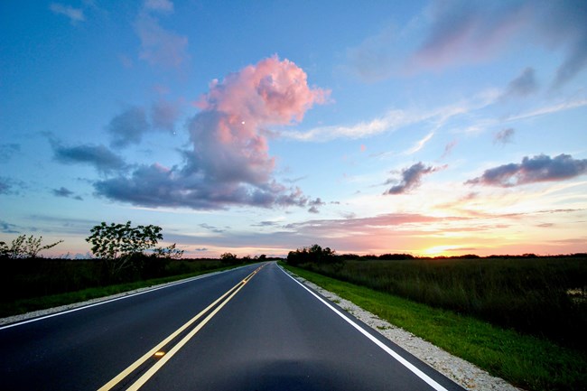 Image shows a road with sunset in the distance. Vegetation lines the road.