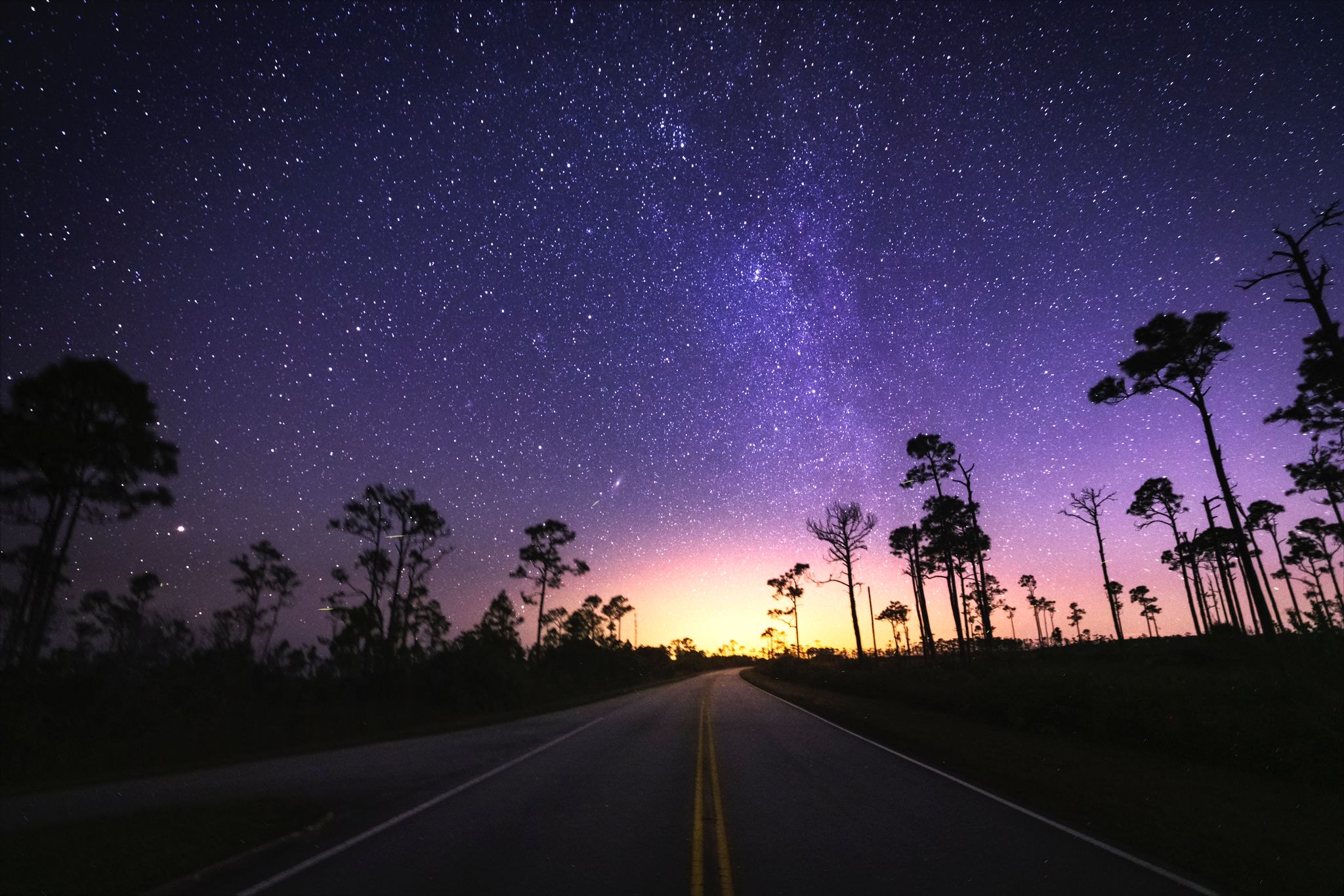 A road surrounded by trees on either sides under a clear and starry night.