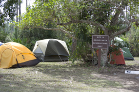 Camping - Everglades National Park (U.S. National Park Service)