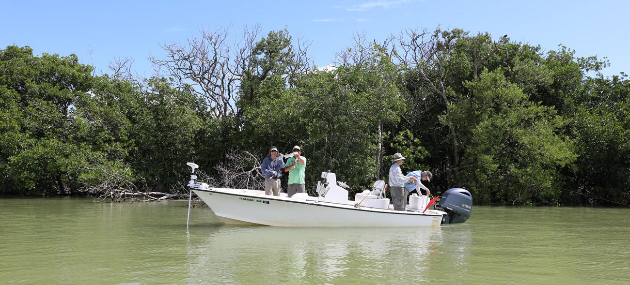 Fishing - Everglades National Park (U.S. National Park Service)