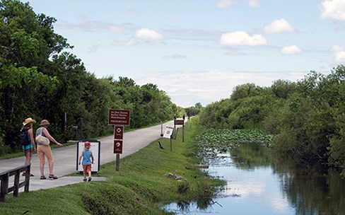 shark valley biking