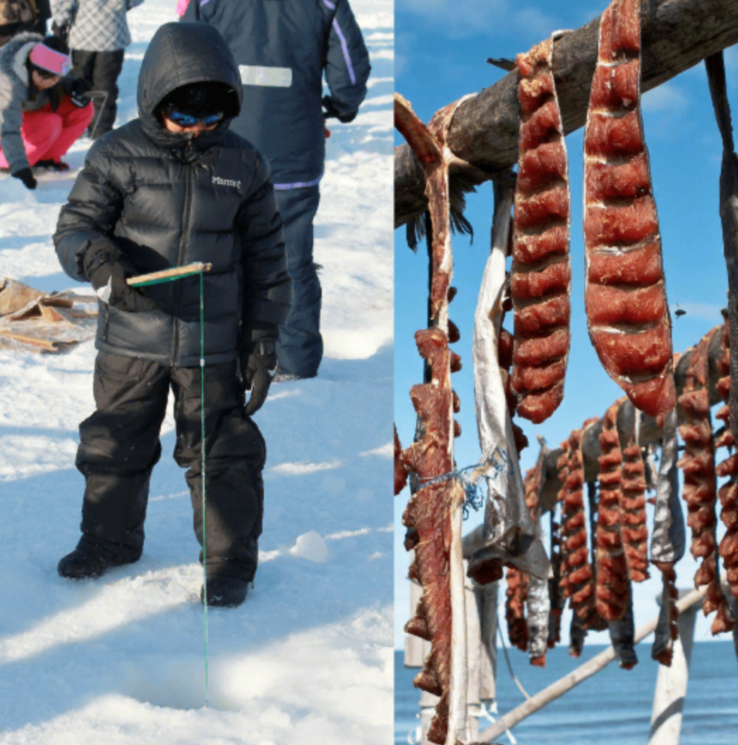 Filleted salmon hang on a fish rack.
A pile of fish lie beside a small hole in the ice. A young boy stands before a fishing hole with his jig.