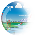 Water Cycle Activity Icon