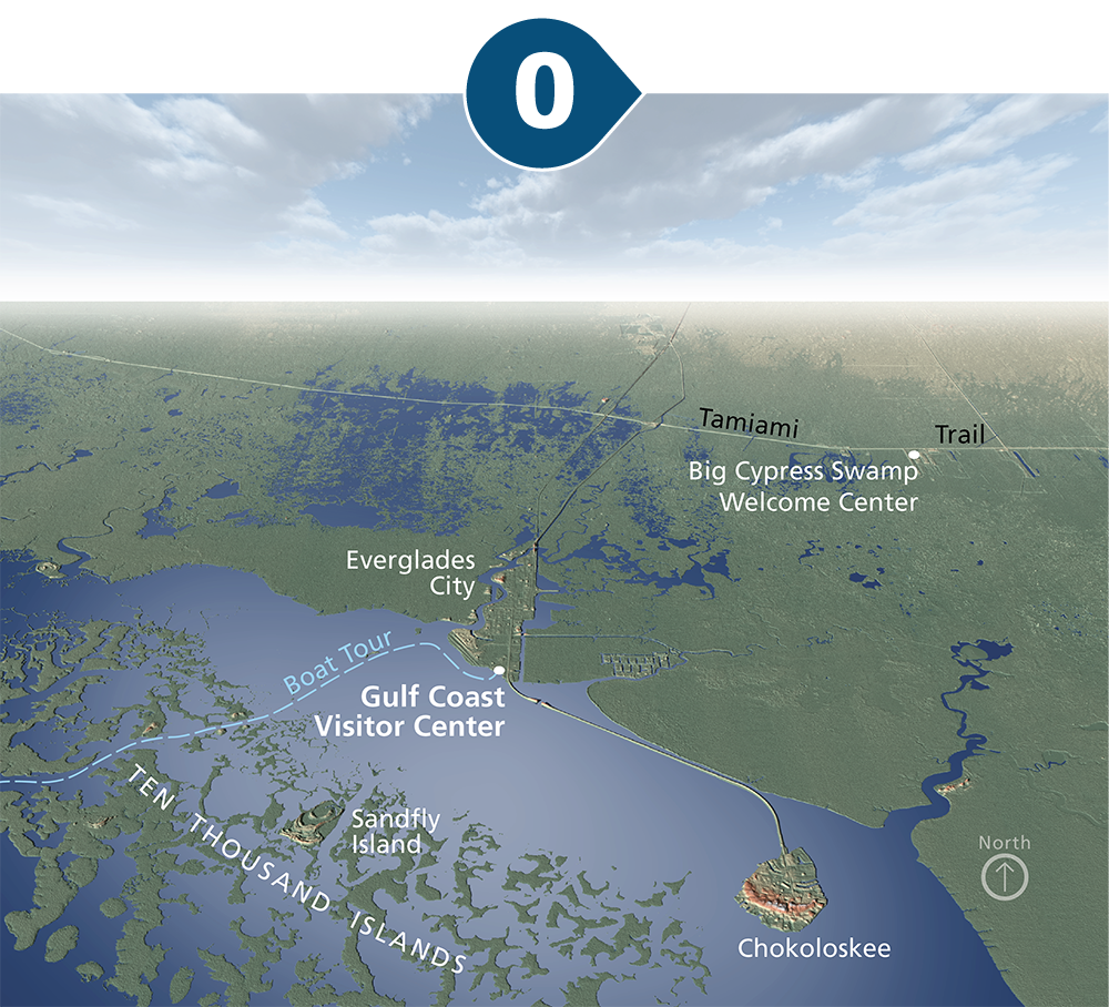 A series of three semi-aerial maps showing the area around the Gulf Coast Visitor Center. Zero: Everglades City is on the coast’s edge, and the Tamiami Trail divides the land halfway between the coast and the horizon. As the handle moves to the right, it changes to 1 ft. Sea Level Rise. One-third of the Ten Thousand Islands have disappeared. Water inundates the shore around Everglades City, just slightly past the Tamiami Trail. Projected Sea Level in 2100: 3 ft. Sea Level Rise. The same view, but almost all of the land is now water, except a small portion of land on the horizon and small highpoints around Everglades City, Sandfly Island, Chokoloskee, and some sections of road.
