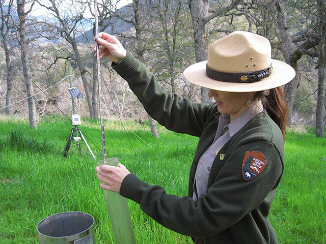 In the forest, a female park ranger checks a rain gauge.