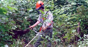 A male Youth Conservation Corps worker in the forest with landscaping equipment in hand.
