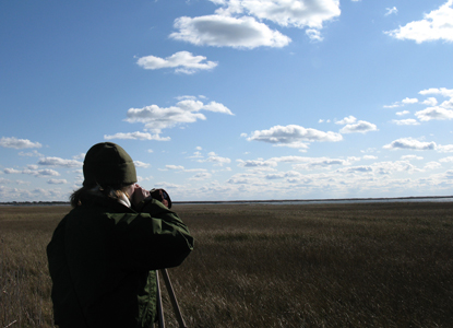 Birdwatcher looking over marsh in winter.