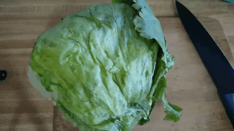 Half a head of lettuce is chopped, placed in a colander then rinsed. Queso fresco is crumbled and the chopped lettuce and fresh cheese are placed on top of the enchiladas. They are then placed on a plate and eaten bite by bite until a clean plate is left.