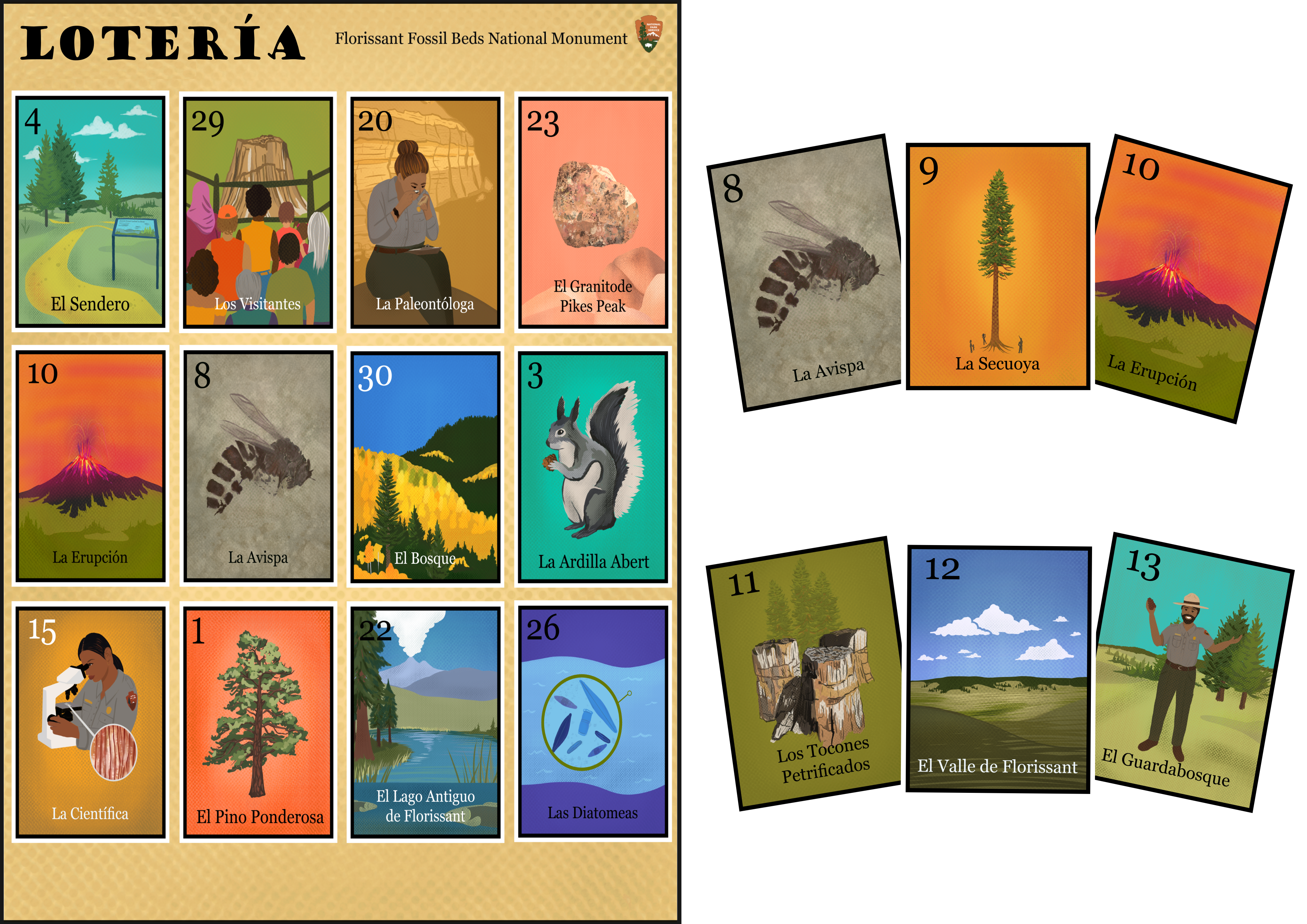 On the left is a gameboard called a tabla for the Loteria game that displays 12 cards of Eocene and modern Florissant including, fossils, plants, wildlife, and people. On the right are six staggered cards.