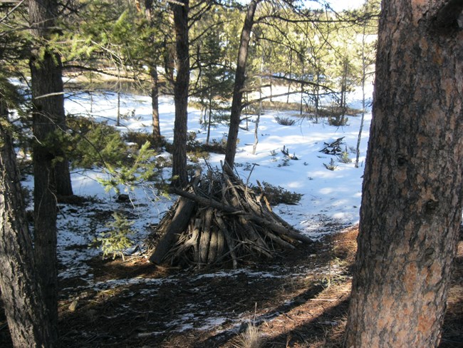 Burn Piles gathered for fire management