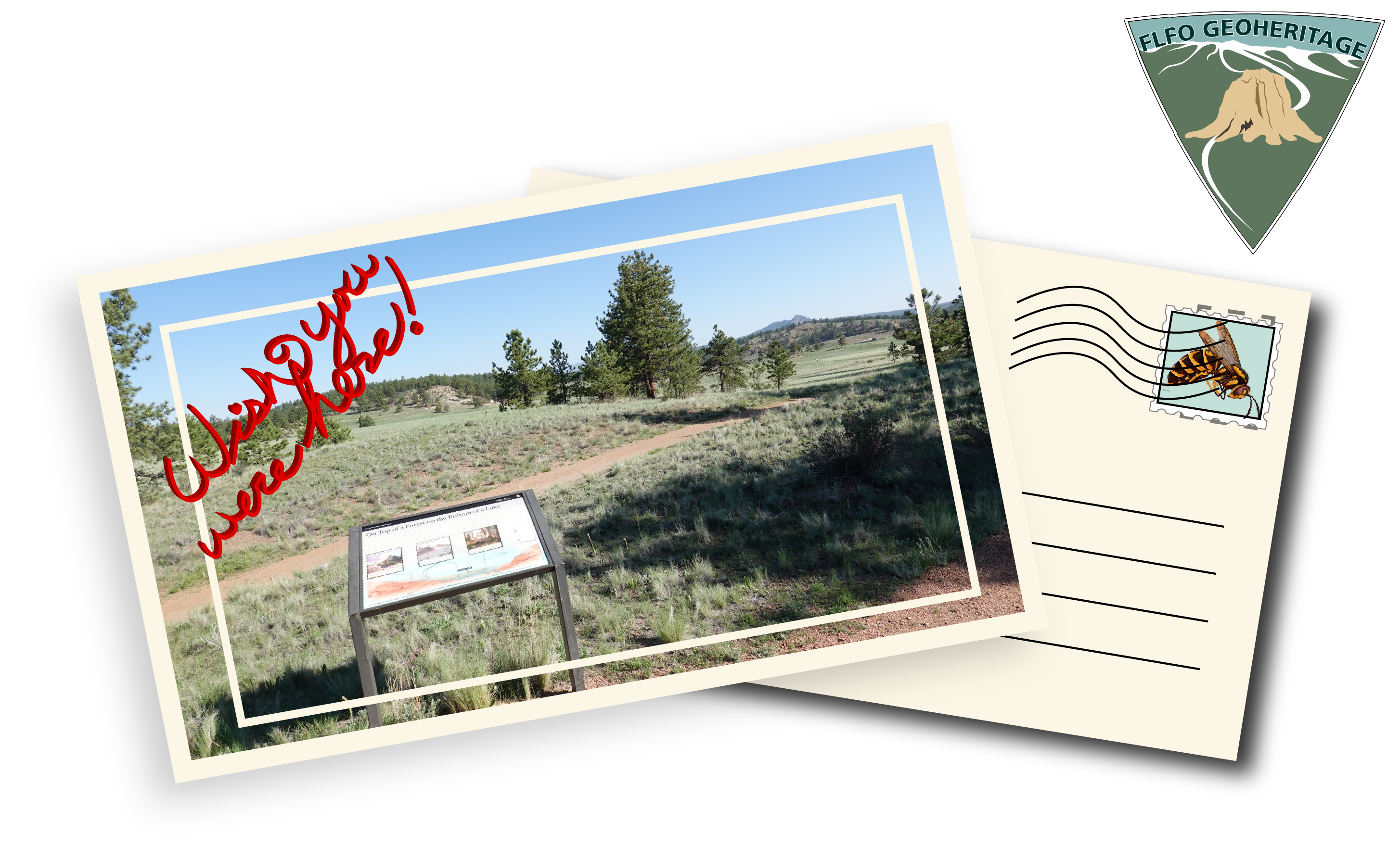 Two postcards overlapped, the left with a picture of a wayside and a view of the Florissant valley. The left postcard shows lines and a stamp with a wasp on it.