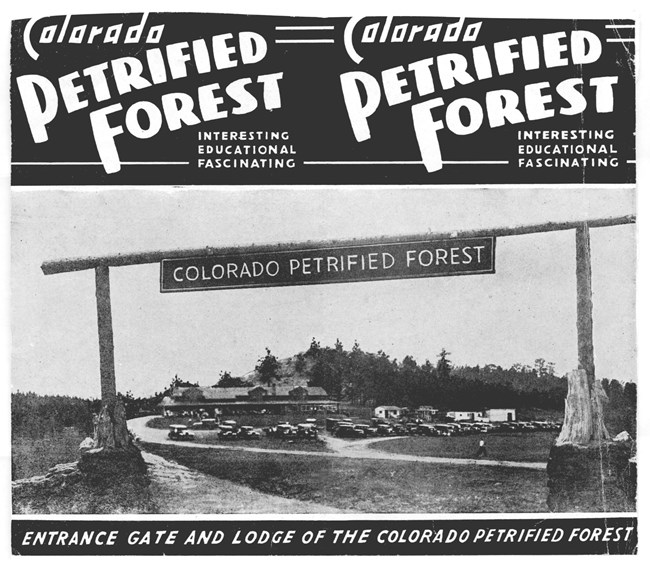 A black and white advertisement for the Colorado Petrified Forest.