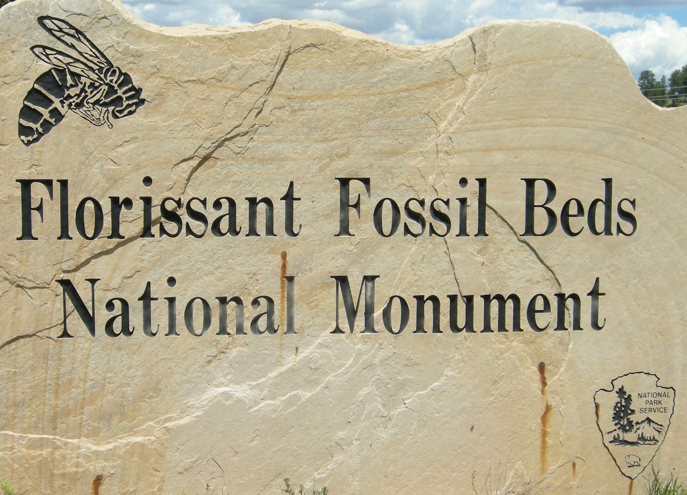 Close up of a sandstone sign with the words "Florissant Fossil Beds National Monument" written in black. There is also a black wasp on the top left and the NPS arrowhead in the bottom right.