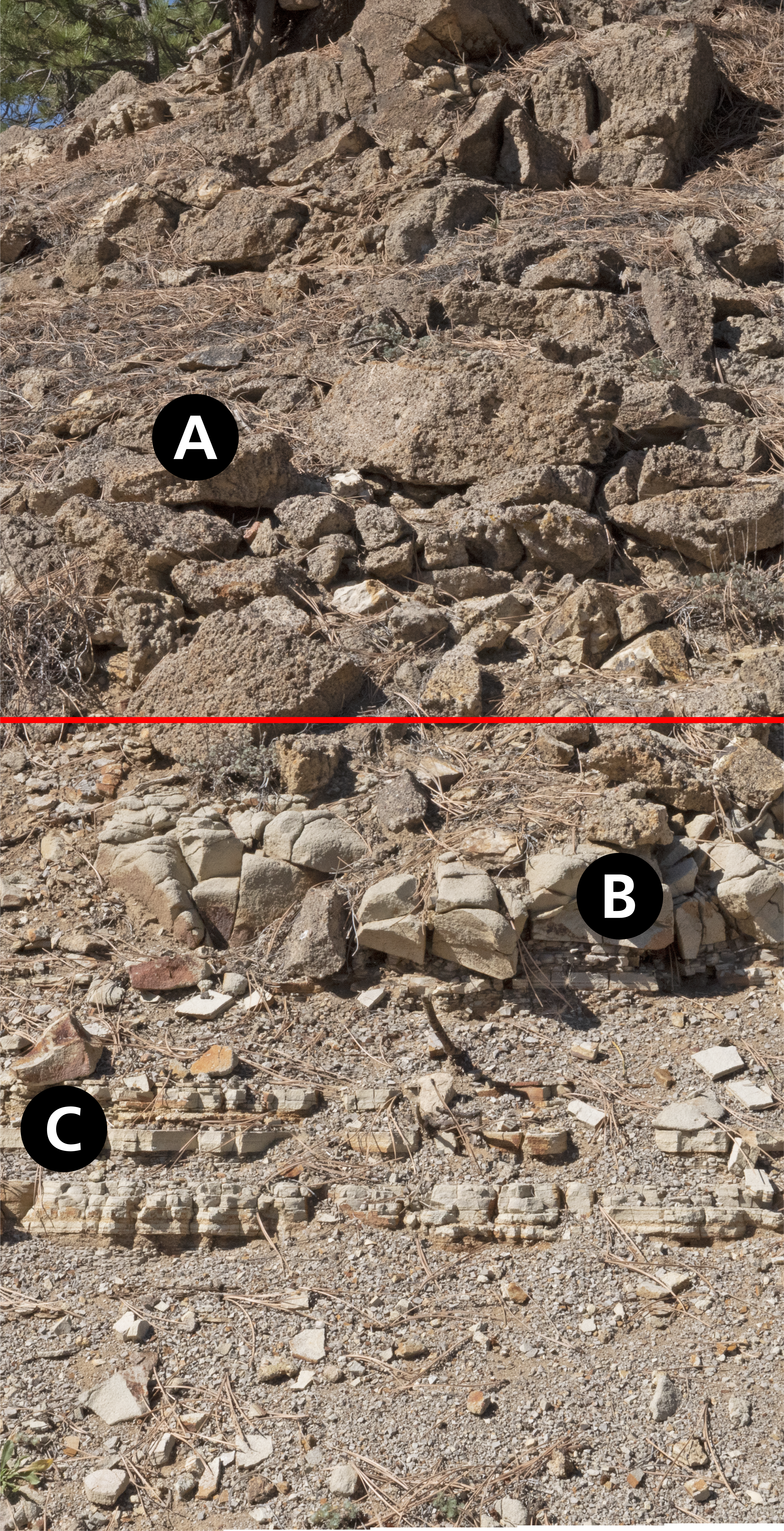 A close up of a rock outcrop with conglomerate on top and shale on the bottom. The two rock units are divided by a red line. The letters A, B, and C are in black circles located on the rocks.