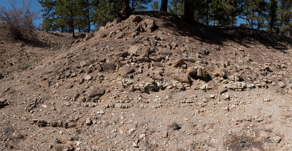 Photograph of a hill with an exposure of gray layers of rock.  Towards the bottom are light gray layered rocks of shale.  On top is a blocky, concrete looking rock called conglomerate.