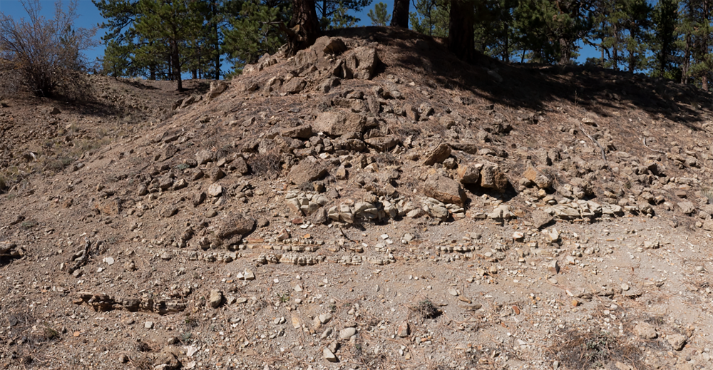 Shale Rail Hill Photograph of a hill with an exposure of gray layers of rock.  Towards the bottom are light gray layered rocks of shale.  On top is a blocky, concrete looking rock called conglomerate.