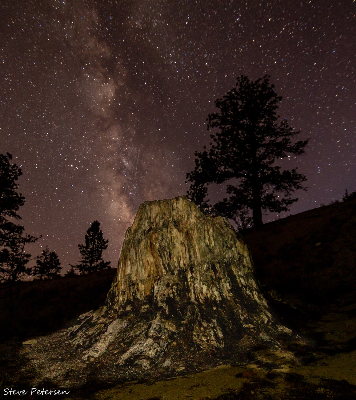 The milky way galaxy behind the big stump