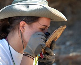 a 2010 Paleontology Intern