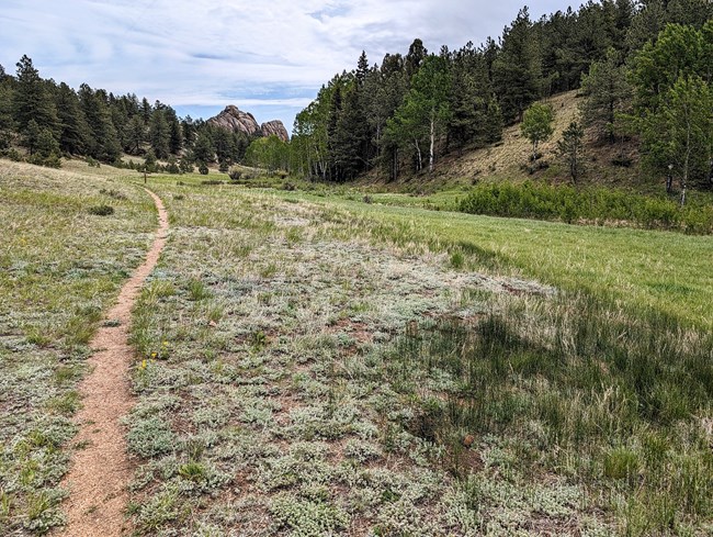 A gravel trail follows the edge of a meadow toward a prominent rock outcrop.