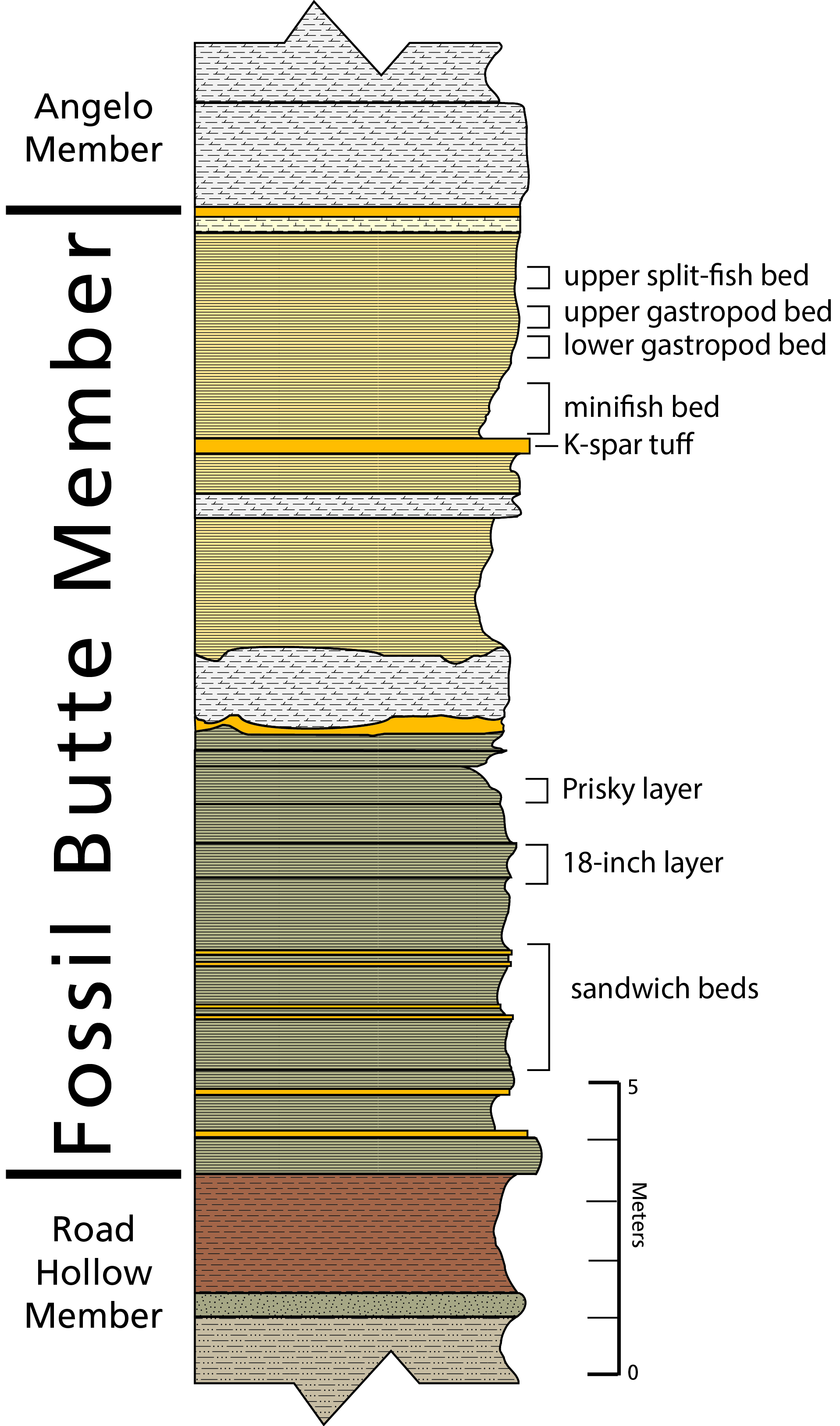 strat-column_2.jpg?maxwidth\u003d650\u0026autorotate\u003dfalse