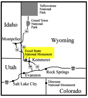 Basic Information - Fossil Butte National Monument (. National Park  Service)