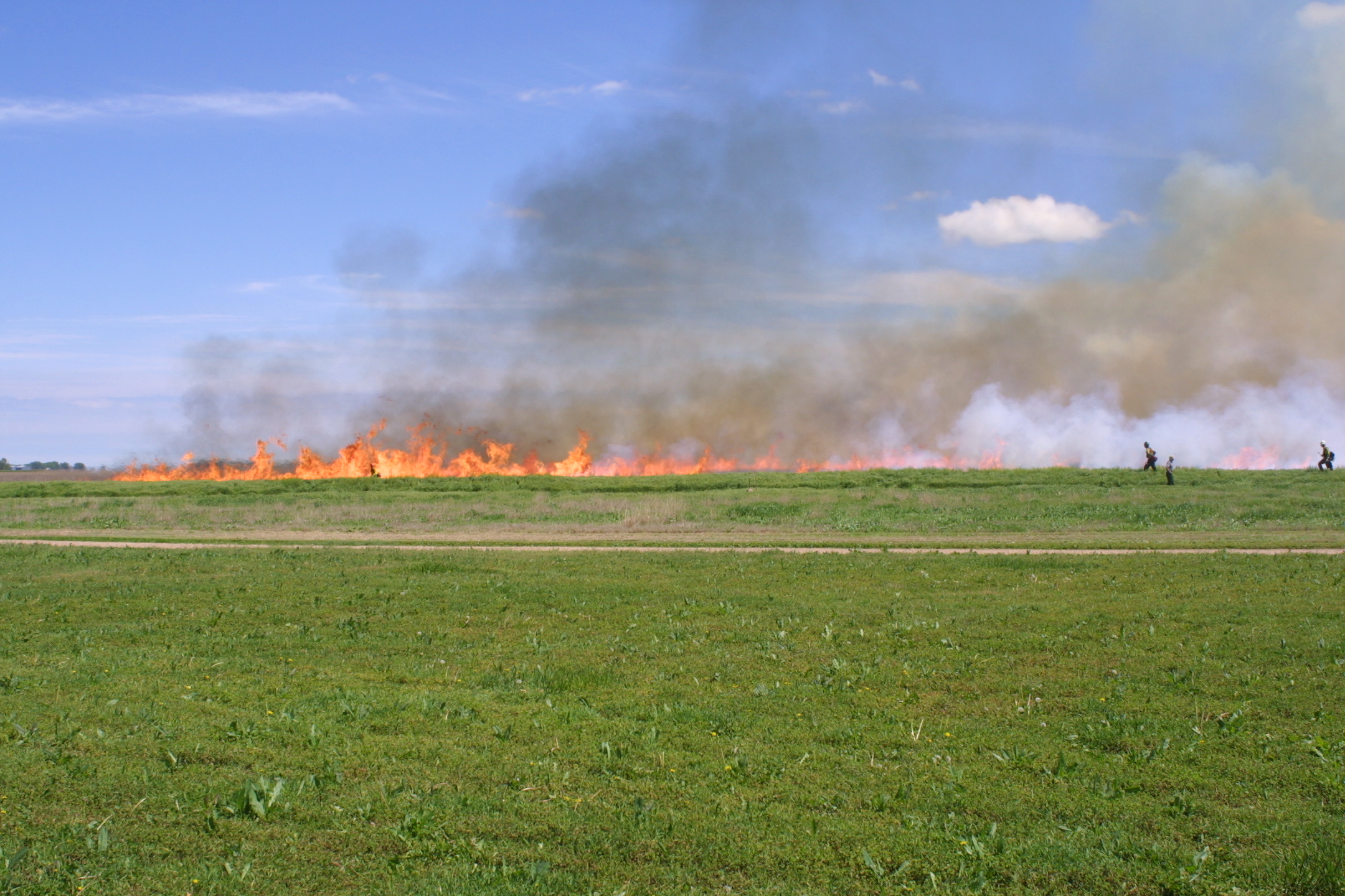 Distant view of prairie fire.