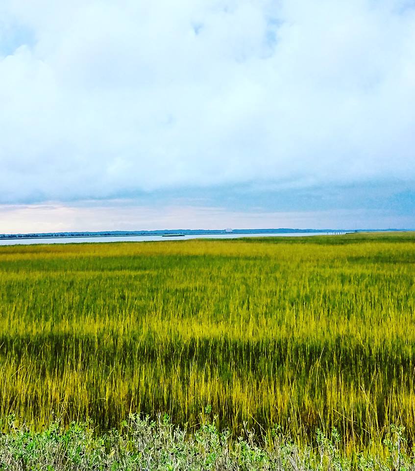 Green marsh grass fills up half the frame. A sliver of light blue river divides the marsh from the gray cloudy sky.