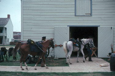 horse stable regulations