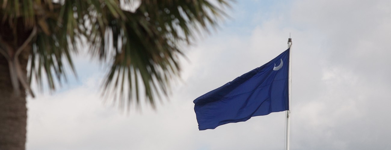A blue flag with a white crescent in the upper lefthand corner blows in a breeze with blue skies in the background and palmetto tree in the foreground