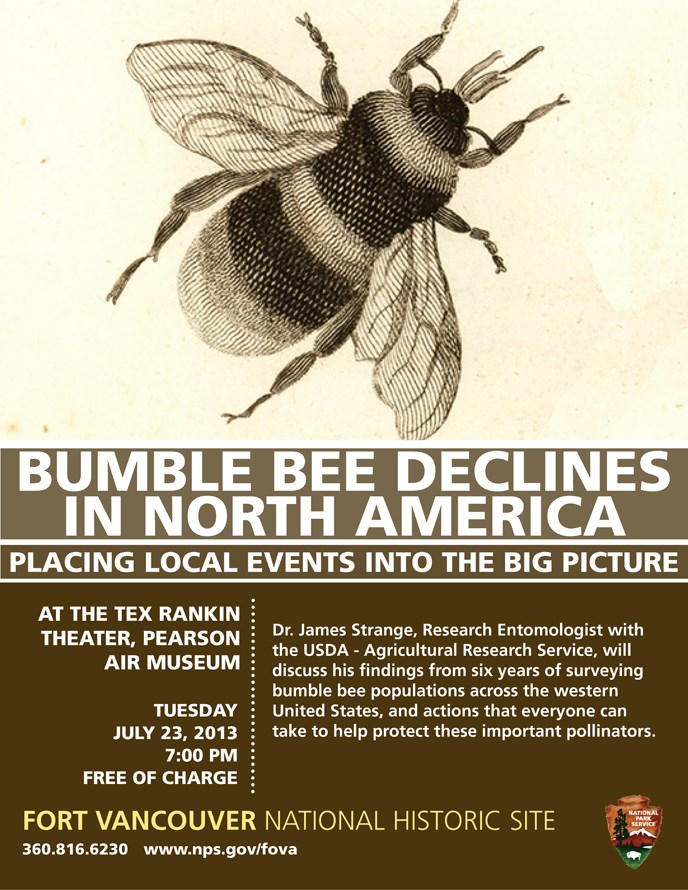 Poster advertising the 7/23 bumble bee evening talk