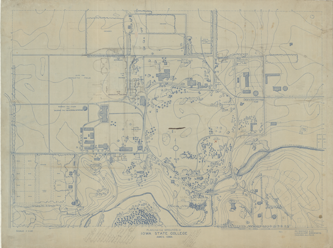iowa blue pen drawing of plans for college, with curving roads, trees, and topography denoted
