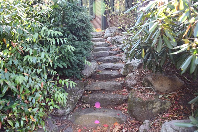 Uneven stone steps leading down from house with shrubs on both sides.