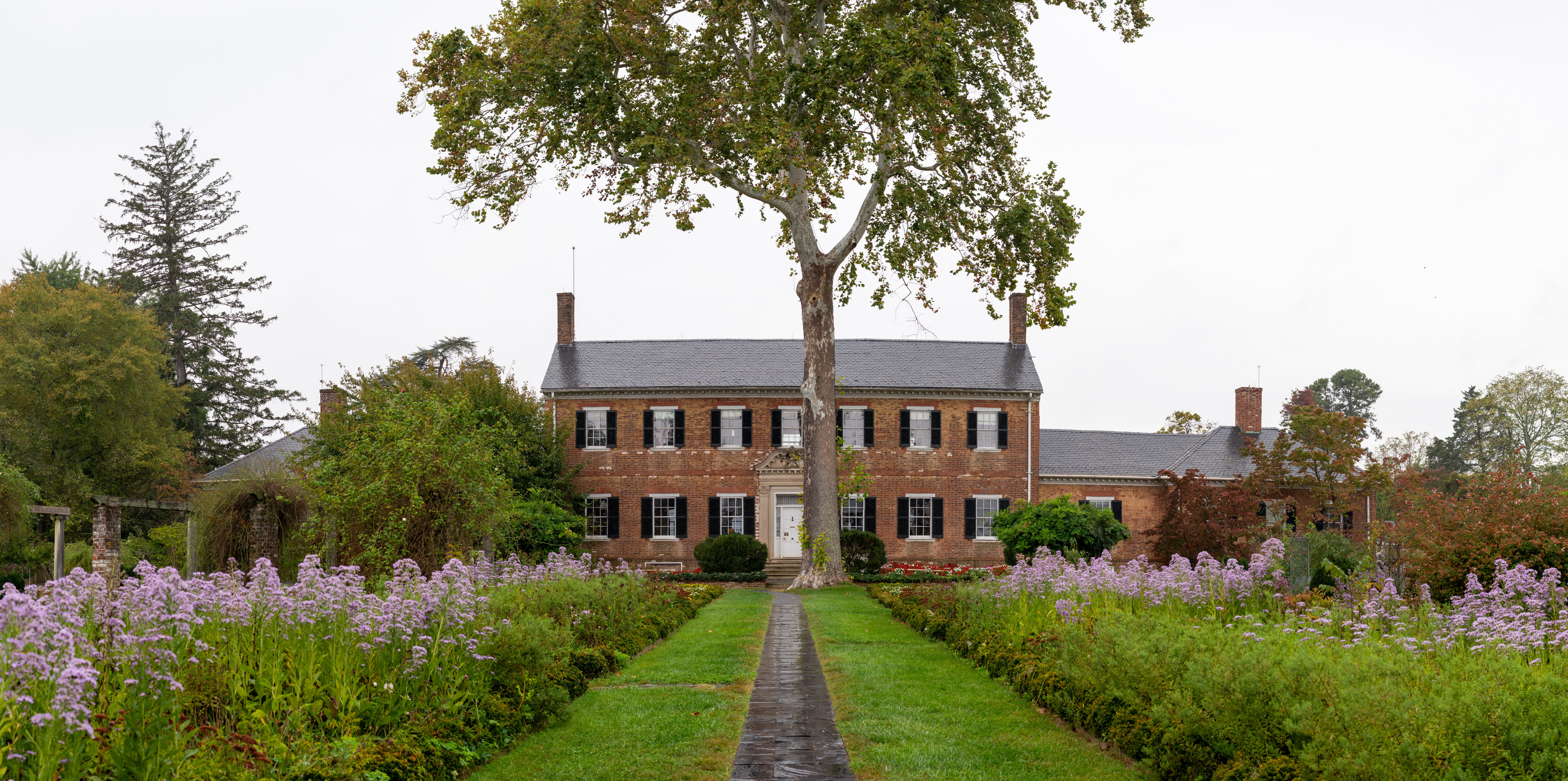 View of Chatham, two story Georgian mansion, surrounded by gardens with blooming purple flowers.