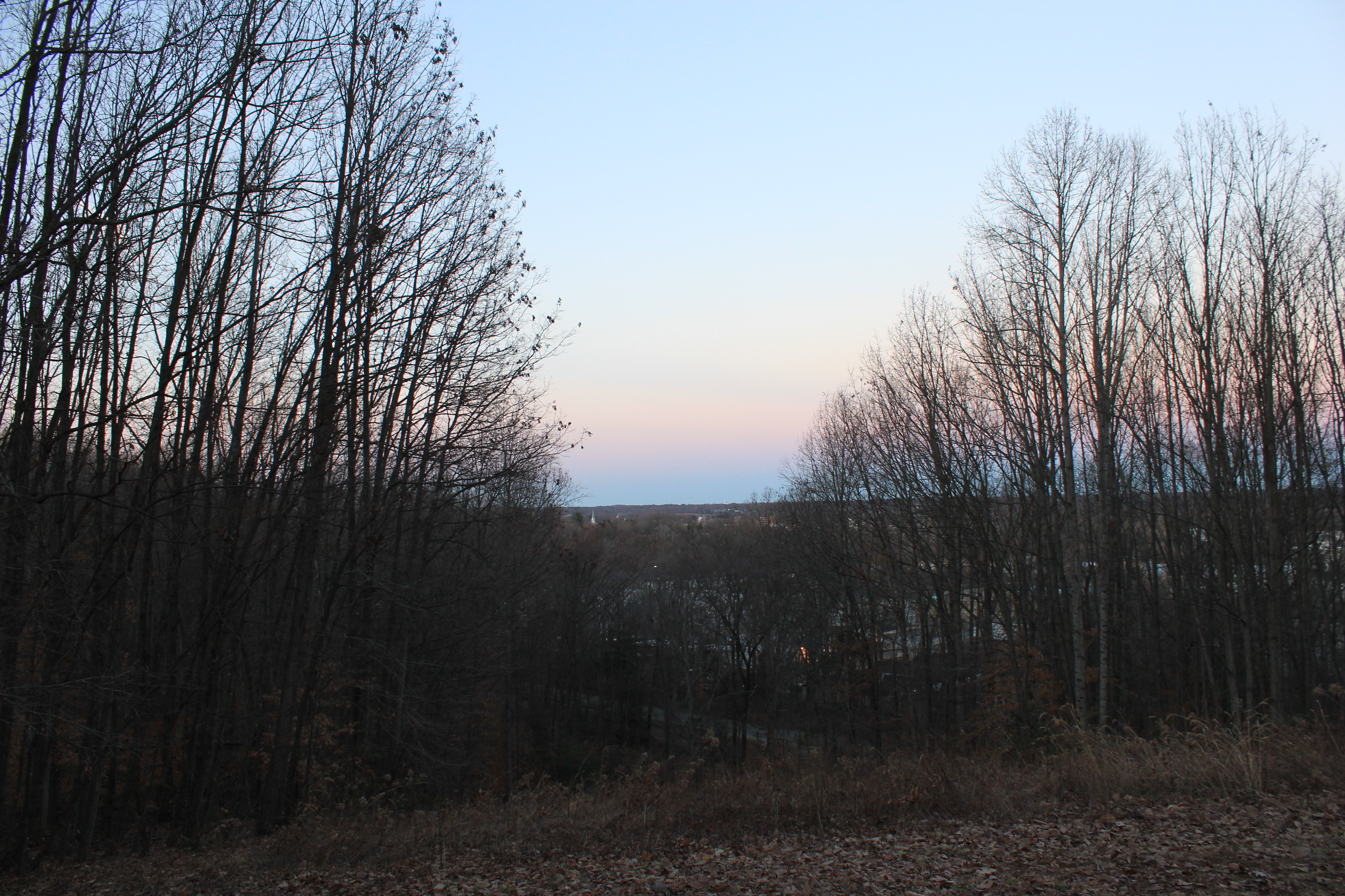 View through bare trees to a town lit up in early dusk.
