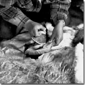 Nunamiut woman cutting caribou hide with an ulu, a traditional women's knife
