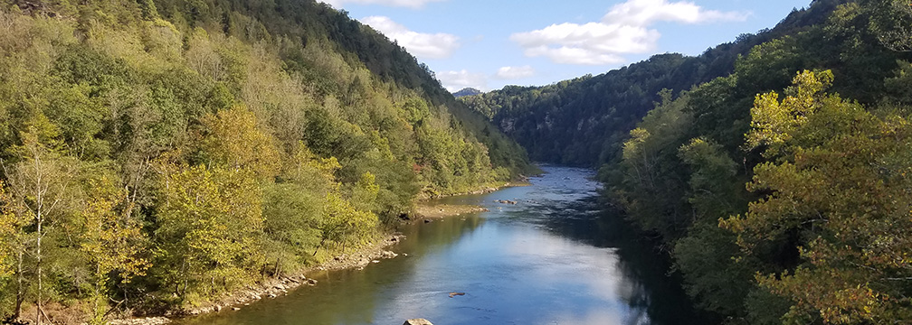 Gauley river psd swiss deals wv