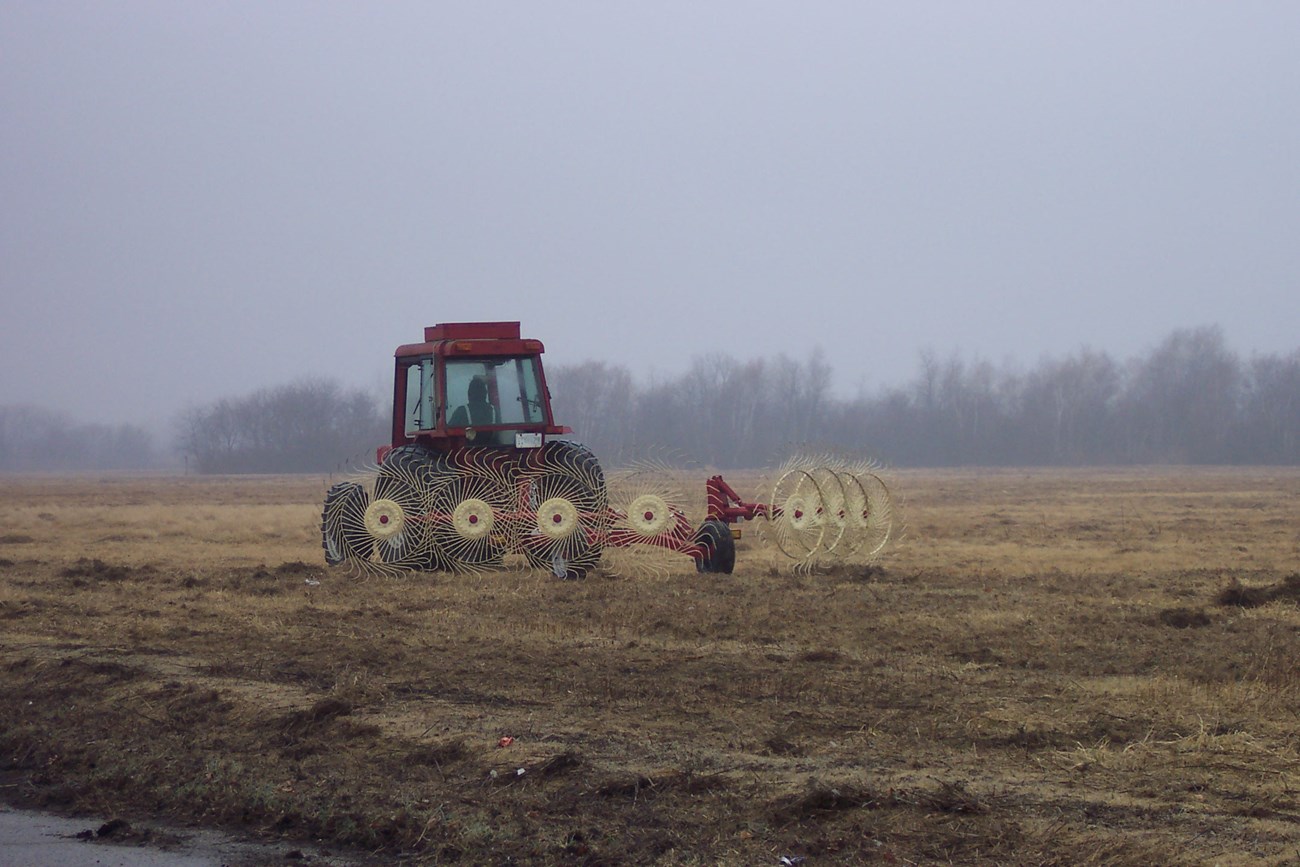 Mowing occurs in the grassland habitats once a year, in late August, to prevent woody vegetation from taking hold.