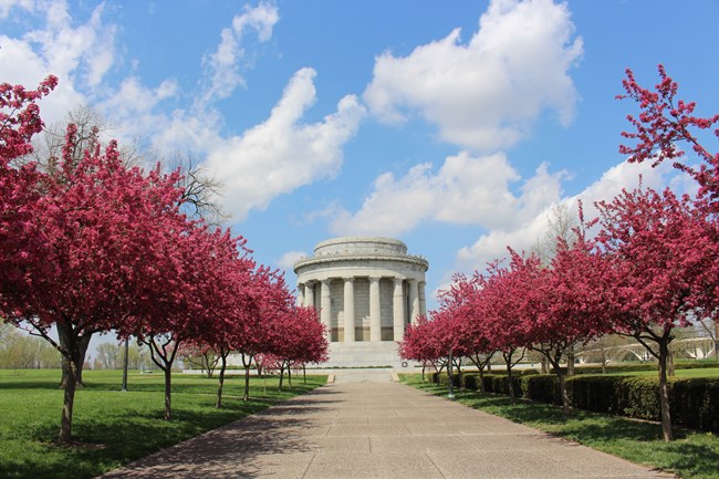 Clark memorial behind crabapple trees with bright pink flowers lining the sidewalk leading toward the camera position