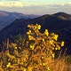 View from Montezuma Pass